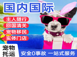 鸡西航空货运国际宠物托运 【国
